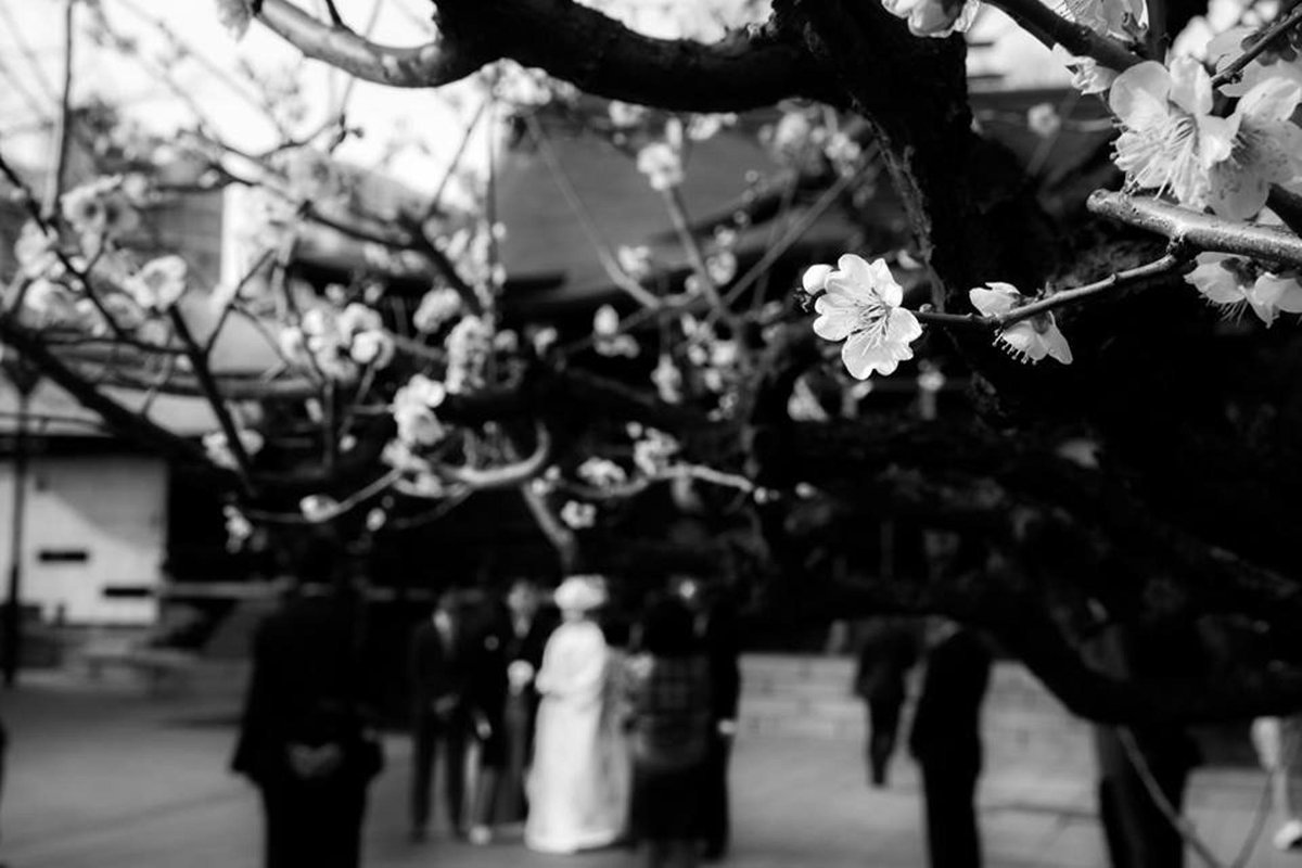 Paolo1264's tweet photo. Tadashi Onishi #photography. https://t.co/VivGgCwS2L