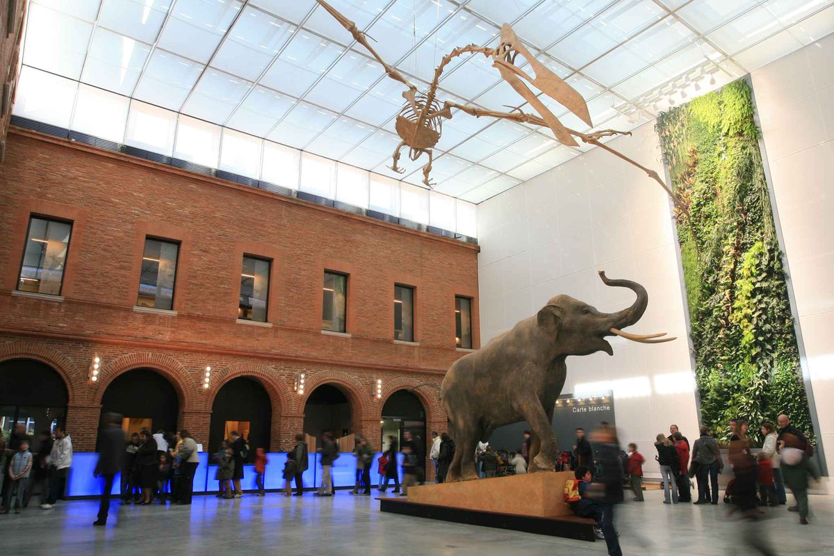 LGC_FMR's tweet photo. [Replay] Les 150 ans du @museumtoulouse avec Santiago Mendieta > https://t.co/M8zOT2RCks @Toulouse @editionsprivat https://t.co/bI8TLoKuH2
