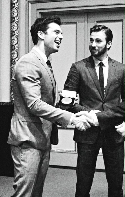 softfrenchie's tweet image. I love them so much