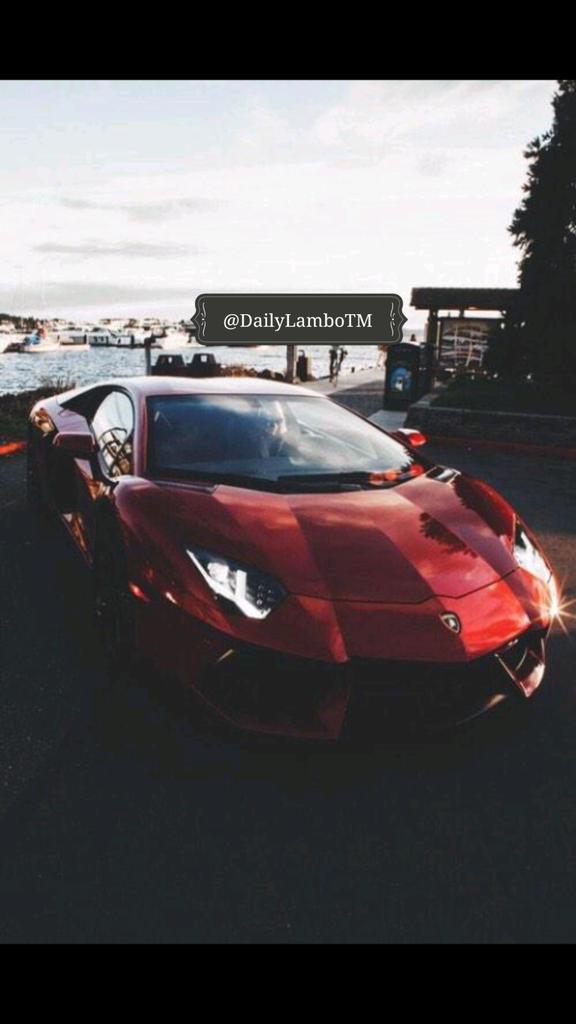DailyLamboTM's tweet photo. Hey there 🙏 #DailyLamboTM #Cars #Lamborghini https://t.co/WElji9QYCd