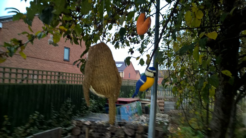 bluebellCG's tweet photo. How awesome are these knitted birds in the three trees garden. https://t.co/aMUFWyMWqE