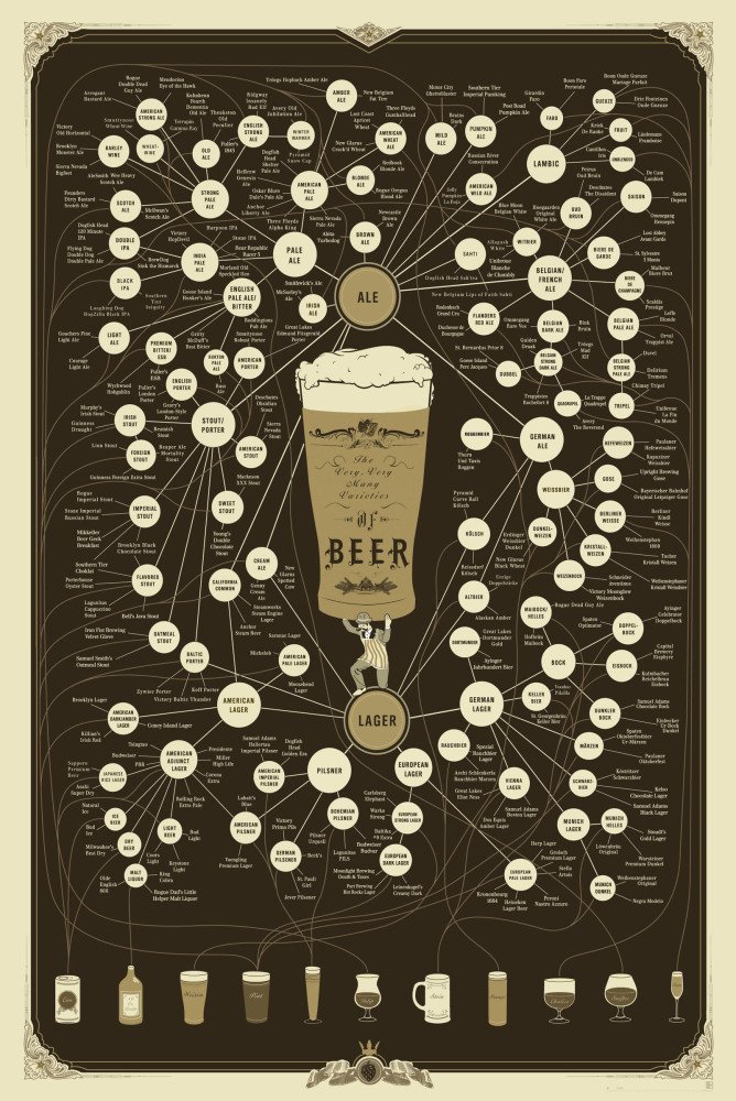 Nick_Niehaus's tweet photo. Got some time on your hands? Learn about every type of beer and what glass to put it in! #casecoolie #beer https://t.co/ORgyYAHg6H