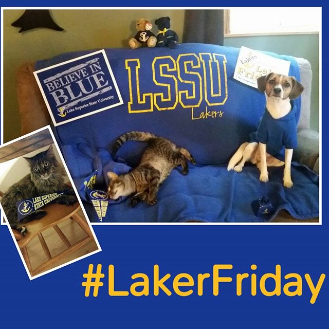LSSUSeamore's tweet photo. You don't have to be a seaduck to love #LakerFriday https://t.co/qKmC5IkRyq