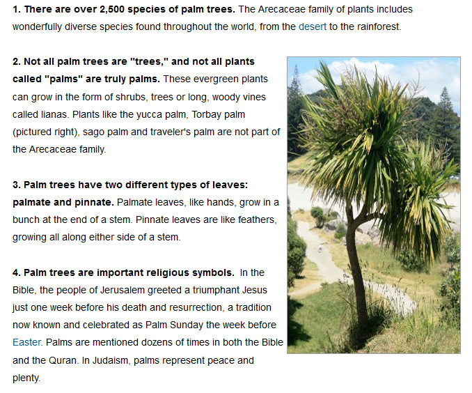 4SeasonsTree925's tweet image. #SanRamonTreeServices #StumpGrinding #TreeThinning