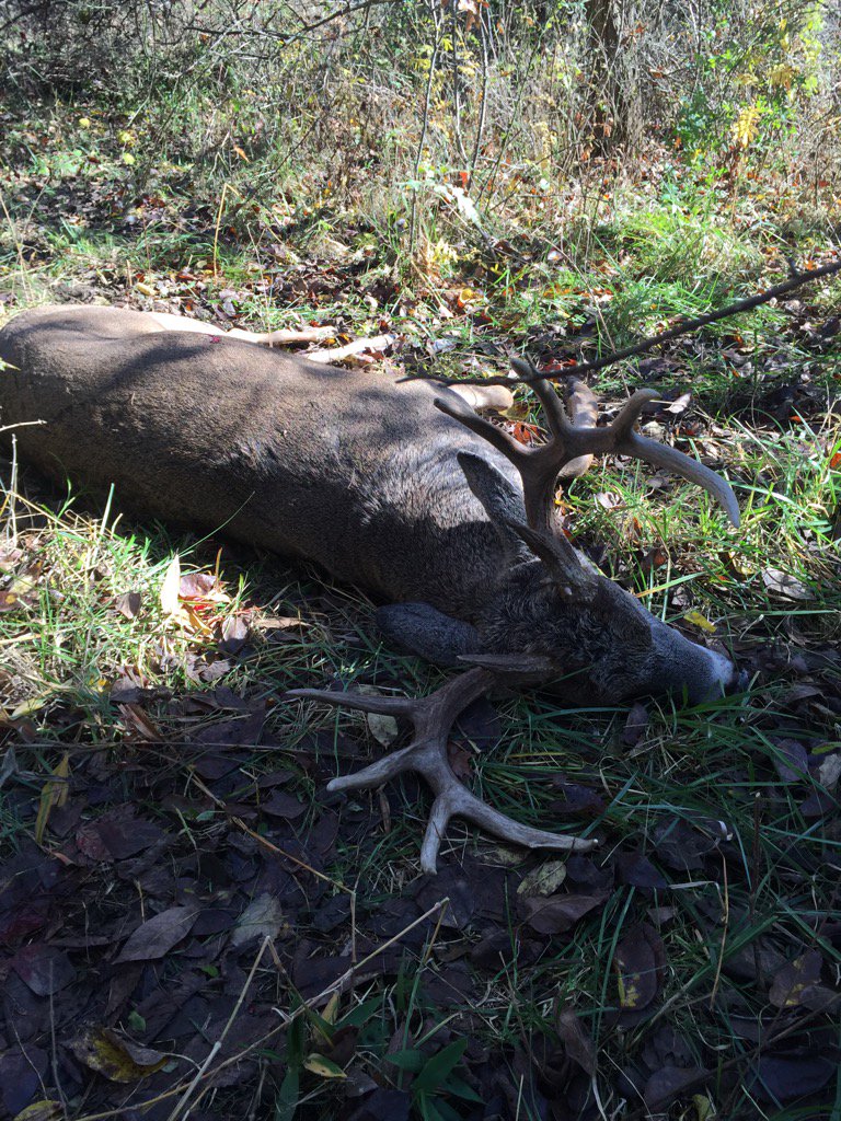 bucksabound's tweet photo. BBD!  #mizzou https://t.co/deftYD4Rtj