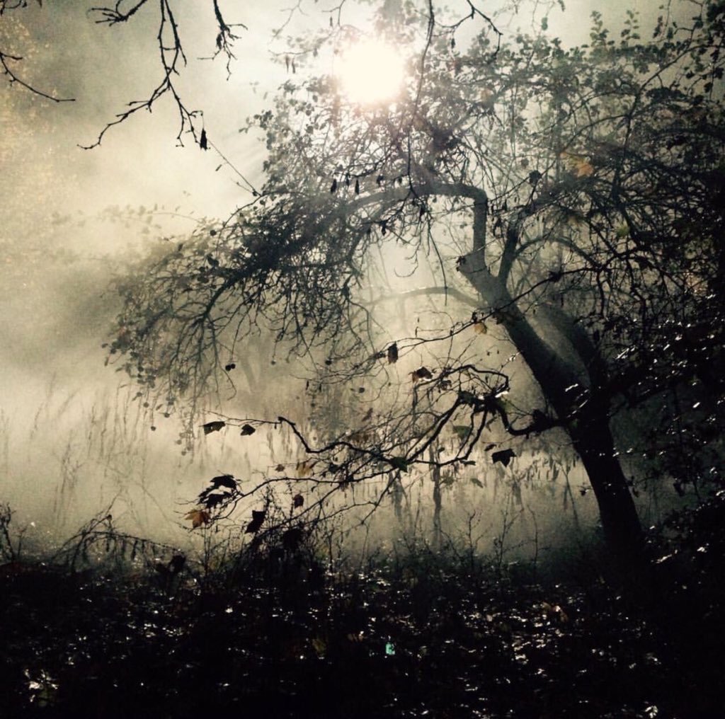LivingDeadBBC's tweet photo. Photos onset of #TheLivingAndTheDead. (Source: https://t.co/1eQKMzgHrx) https://t.co/6HdEjmKYez