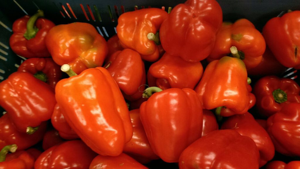 Als je Kostelyck eenmaal geproefd hebt ben je verkocht. Niet? Kom morgen, 7 nov naar boerenjongens eetwinkel, A'veen