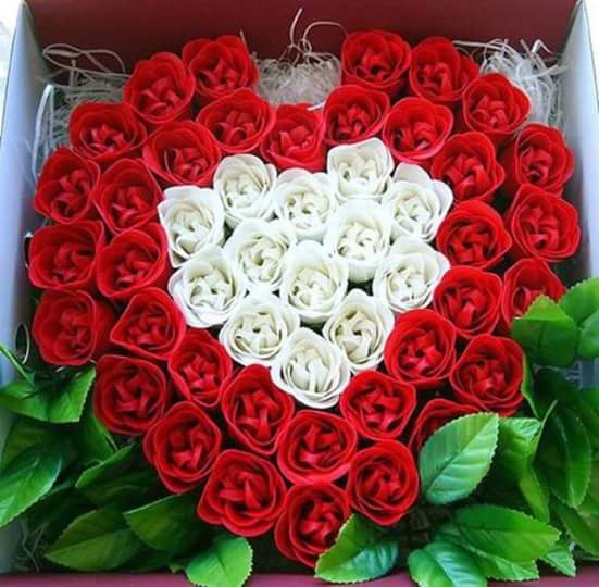 KomanderM4's tweet photo. @SaraLopez1997 https://t.co/F7TDrVCNxm