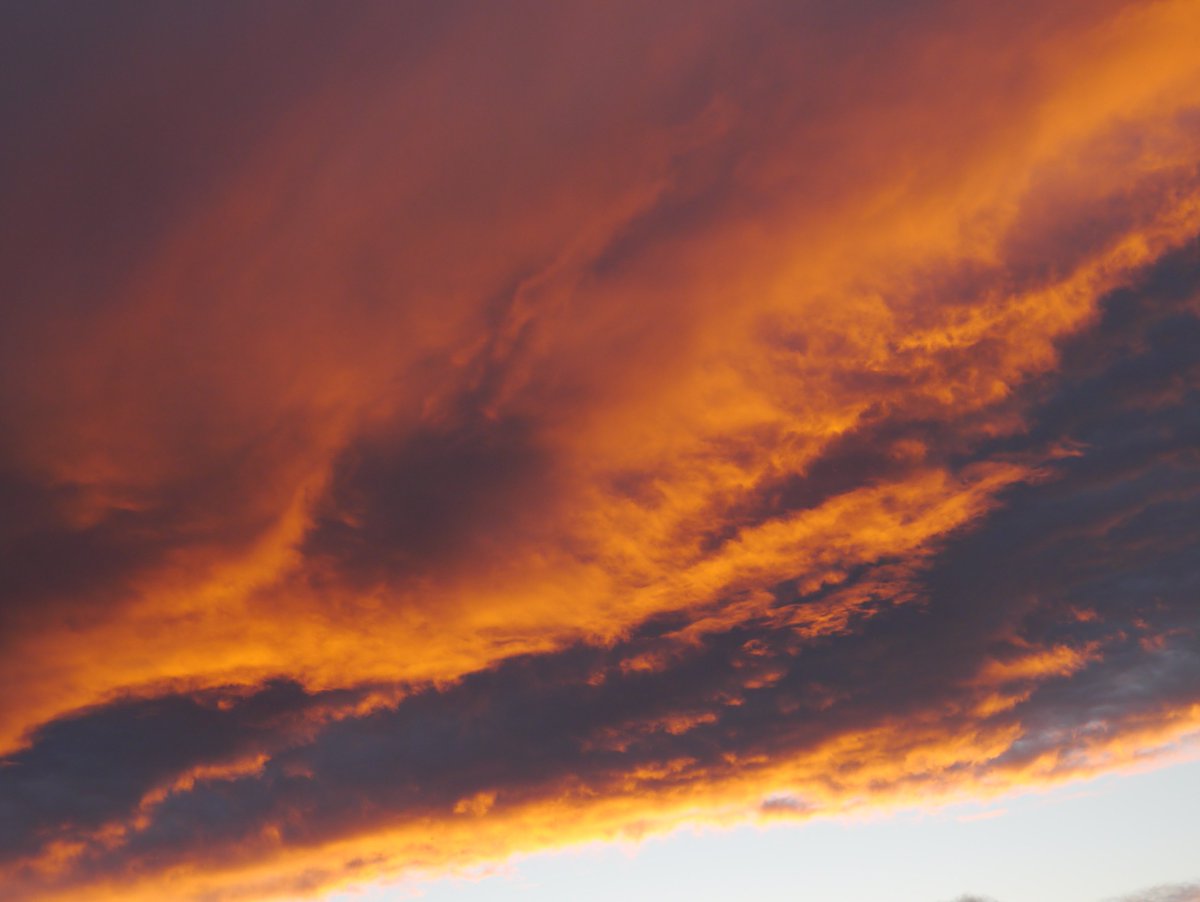 Susan Fernández Dawe tweet media