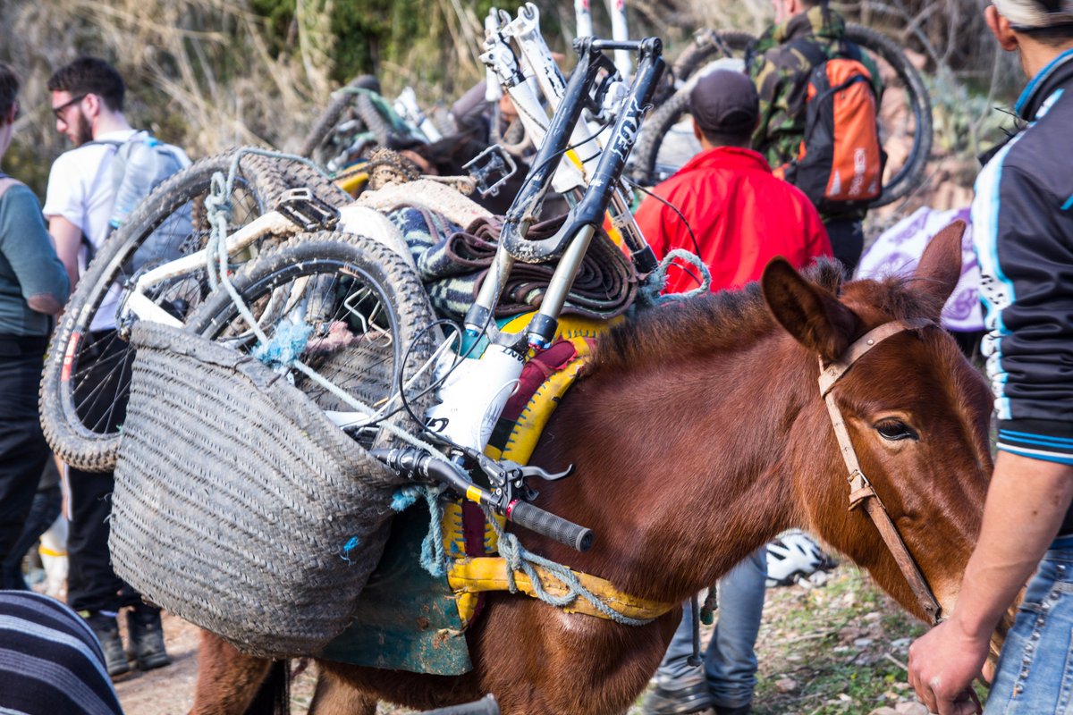 Mountain biking down from 2,000m above sea level was amazing - join us as we do it again this Feb in the Atlas Mts.