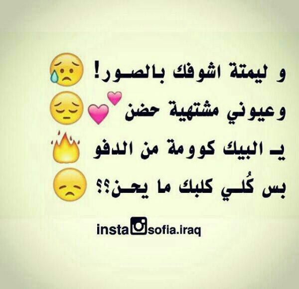اعشق انفاسك (@comfdetanfask) on Twitter photo 