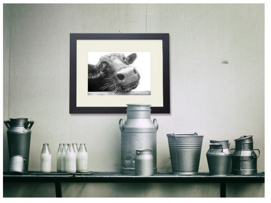 The Irish Workshop tweet media