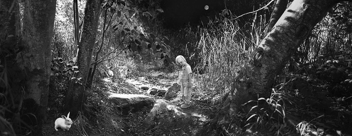 theCinematheque's tweet photo. #TTRU artist Karin Bubaš Ltd-edition print inspired by THE NIGHT OF THE HUNTER! https://t.co/1mb7ujHiWZ https://t.co/LgDUqrY6PW