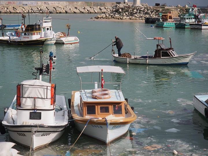 orhanaydin6's tweet photo. Burası Karaburun.
3.Havalanı ve 3.Köprü için bölgedeki göletler su havzaları da bitiriliyor.
#susma
@kuzeyormanlari https://t.co/gF1atLiZ00