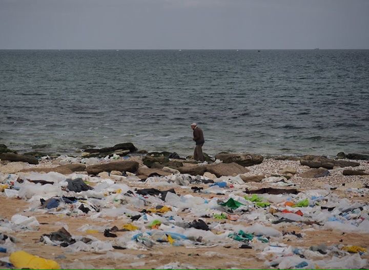 Burası Karaburun.
3.Havalanı ve 3.Köprü için bölgedeki göletler su havzaları da bitiriliyor.
#susma
<a href="/kuzeyormanlari/">Kuzey Ormanları Savunması</a>