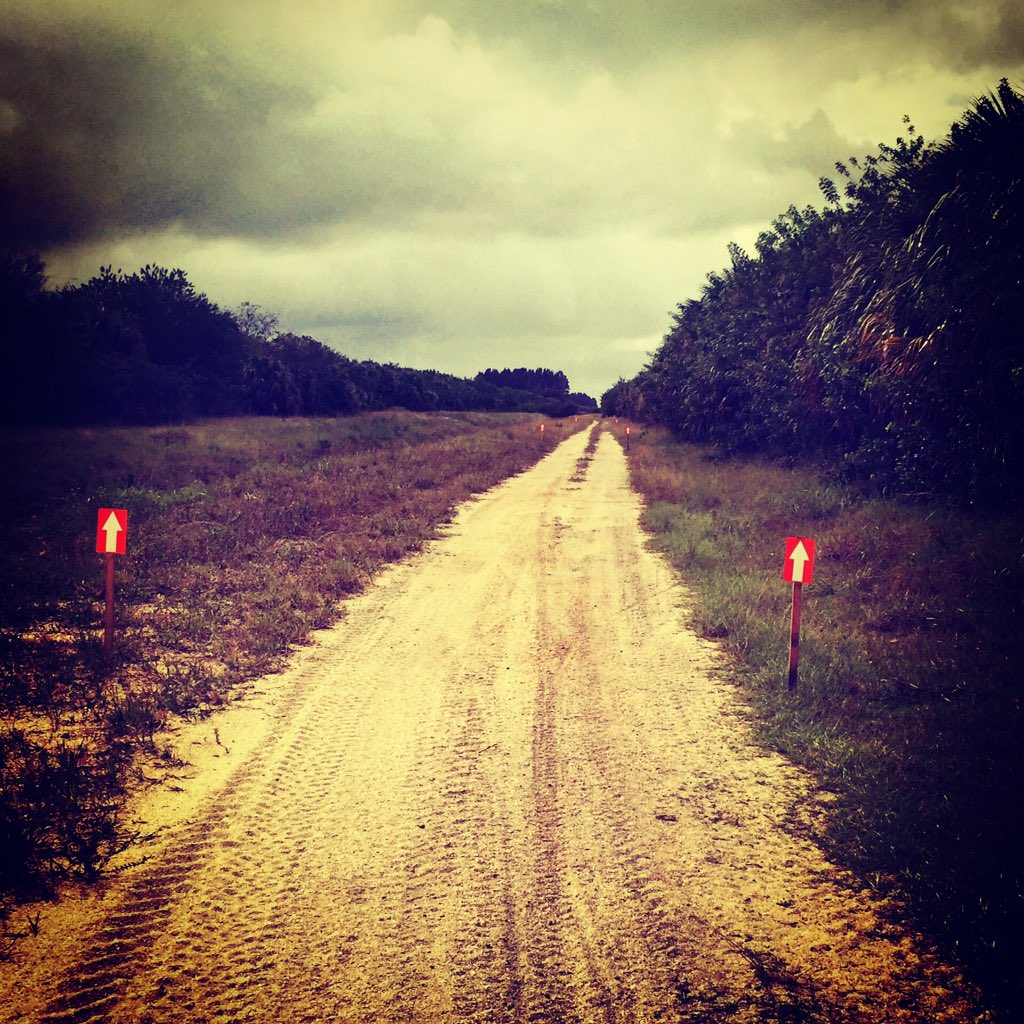 ToughMudder's tweet photo. Follow the yellow dirt road #ToughMudderCentralFlorida https://t.co/H06lo0FZs7