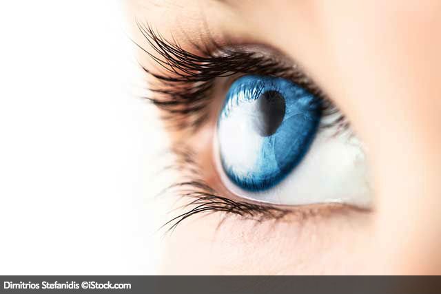 sciam's tweet photo. Eye drops show promise in treating cataracts without surgery https://t.co/hEhUCVmO06 https://t.co/zdfl29fmn8