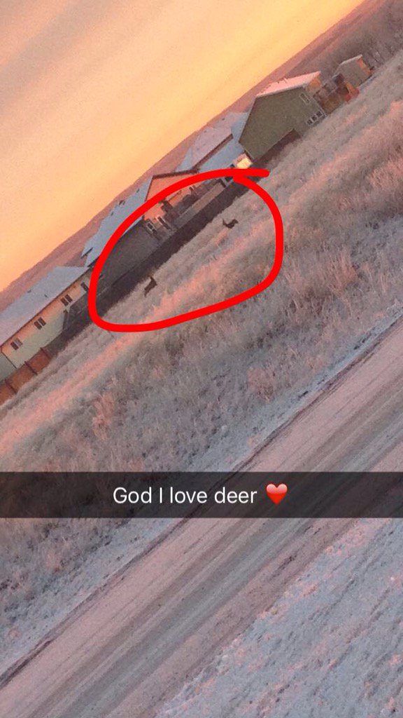 brynna_nelson's tweet photo. #gpcsd @StMarysSexsmith the view in the morning is such a blessing! https://t.co/E8AyNxJ3HH
