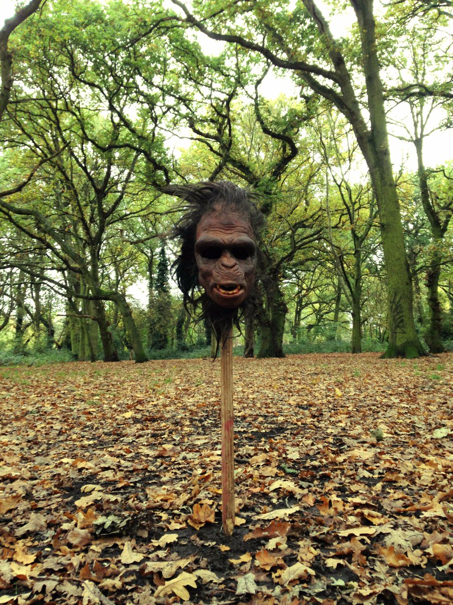 Friday wrap for APE Film