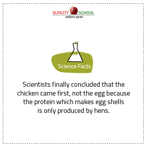 #ScienceFacts: Chicken came first!