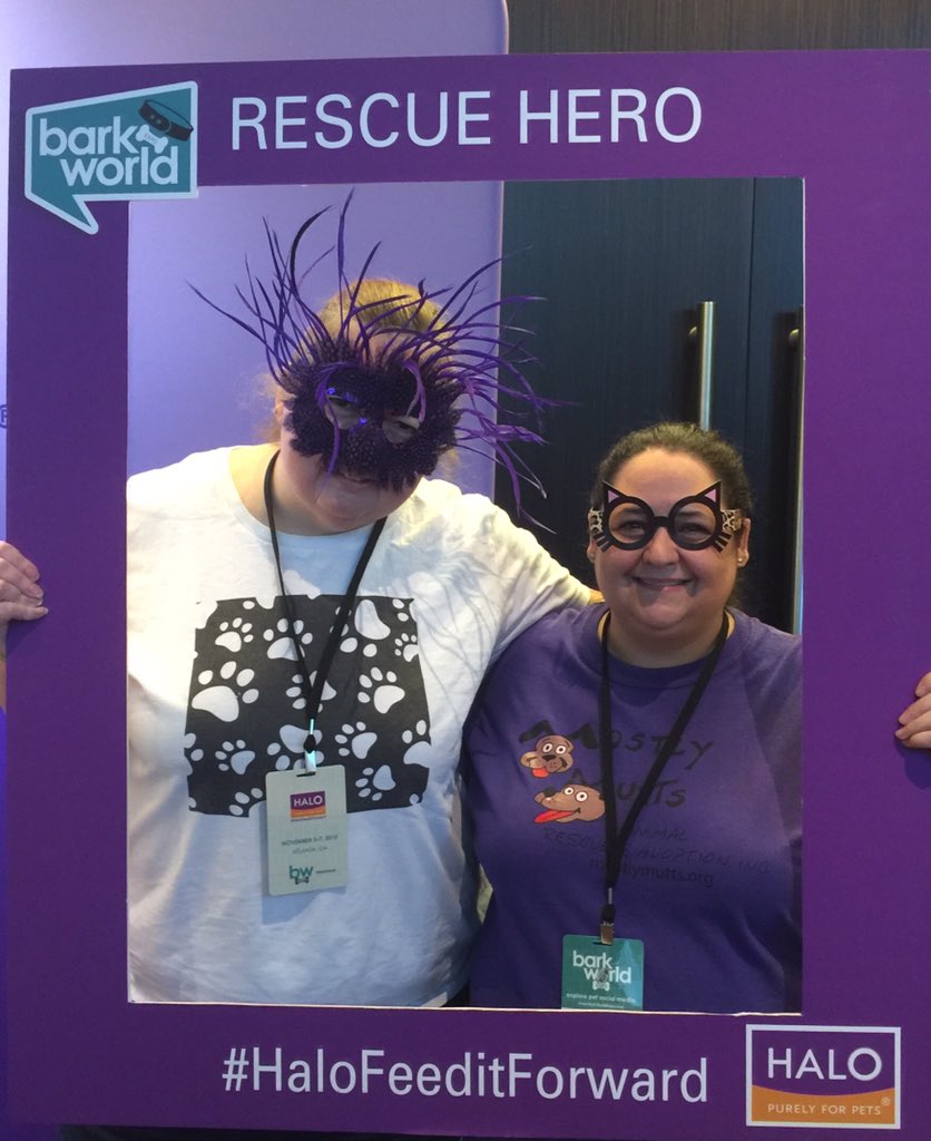 kritterkeeper1's tweet photo. #mostlymuttsatl is an Atlanta area rescue. #HaloFeedItForward - donate to us! #barkworld https://t.co/LxbNUWBRwn