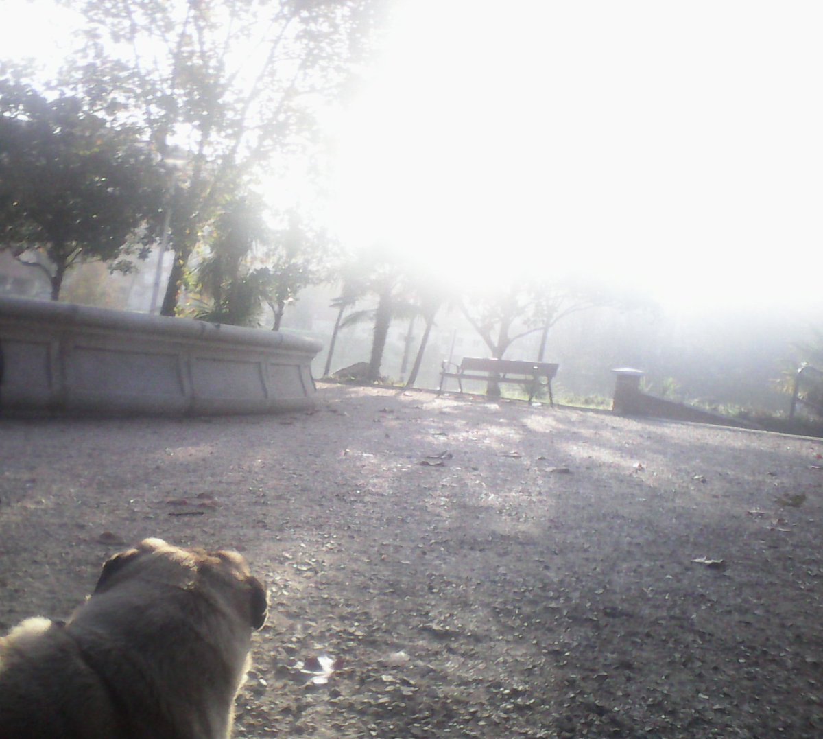 FranLara__'s tweet photo. No olvides caminar hacia la luz !!

#FelizFinDeSemana !! https://t.co/6wM2RqM9yS