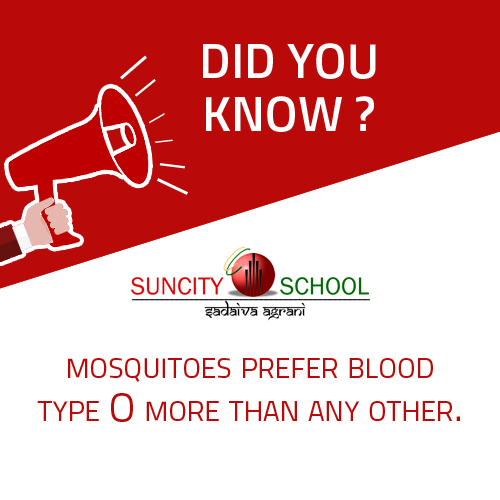 #Fact: Mosquitoes prefer blood type 'O' more than any other.