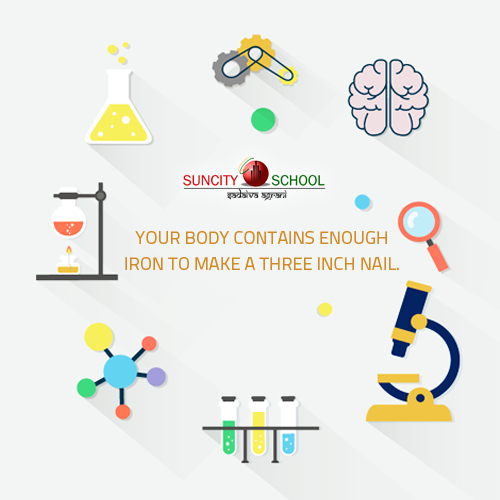 #Science Facts:Your body contains enough iron to make a three inch nail.