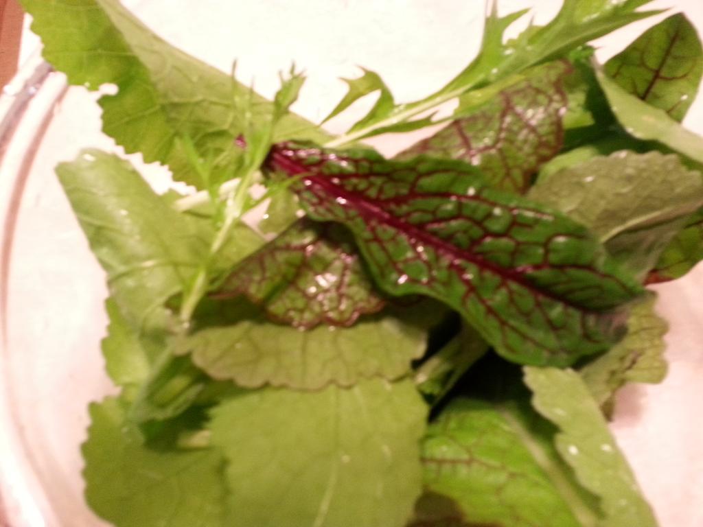 treppei's tweet photo. @Kelly_Evans @janewells 
Timely,  just harvested a fall crop of fresh greens from garden 
#mostlyorganic  :) https://t.co/jH1CuK6pjJ
