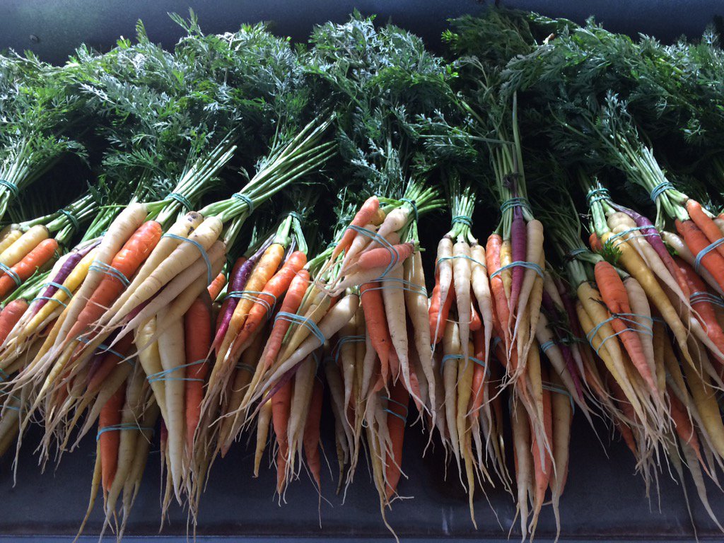 Come stock up on super sweet baby carrots at markets this weekend @CUESA @EatLocal101 <a href="/MarinCntryMart/">Marin Country Mart</a>