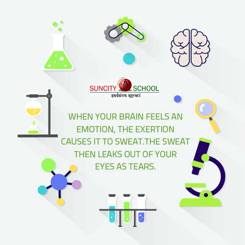 When your brain feels an emotion , the exertion causes it to sweat , the sweat then leaks out of your eyes as tears