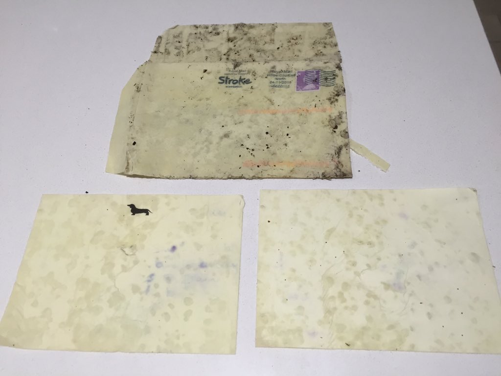 Knightsypops tweet media