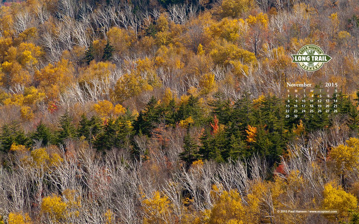 Ecopixel's tweet photo. Waiting for winter on Camel's Hump #VT. Photo © Paul Hansen/Ecopixel. Free downloads at https://t.co/Az4pzPKhx8 https://t.co/GRNCTNDBw4