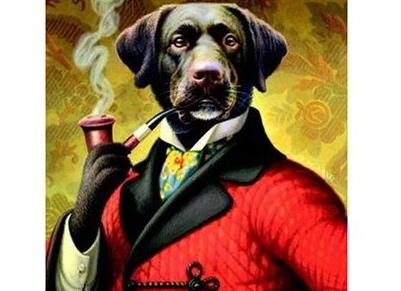 BeauBeagle02's tweet photo. When your garms  are on point #threads #pun https://t.co/qAttLlxvSX