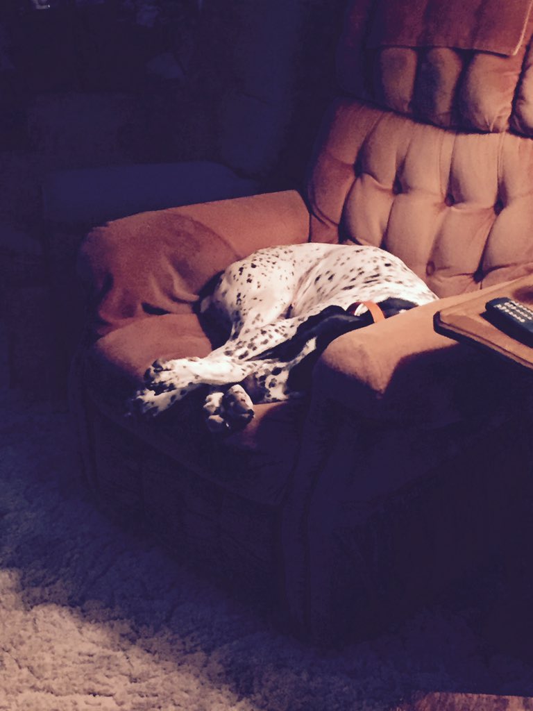 Nick Corbett tweet media