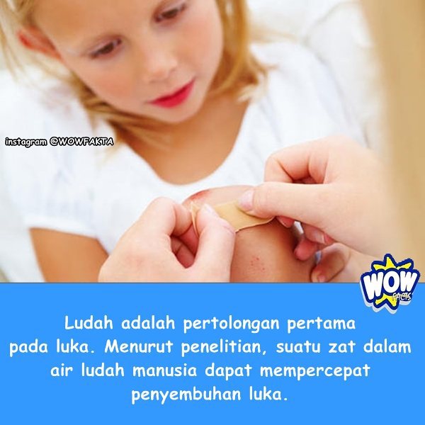 kontenwow's tweet photo. Faktagram hari ini: #tahukahkamu #tahukahanda #wowfakta #fakta #faktanya #wow #mostpopular … https://t.co/DdYEJ71QSZ https://t.co/FjPSPY9om9