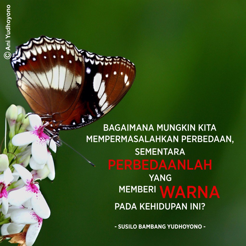 SBYudhoyono's tweet photo. Bagaimana mungkin kita mempermasalahkan perbedaan, sementara perbedaanlah yg memberi warna pd kehidupan ini. https://t.co/MImeQv7cGB