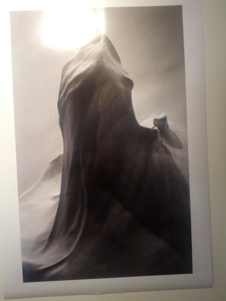 UoNMosquito's tweet image. Another work in &apos;Blueprint&apos;, this year&apos;s annual art prize exhibition at #WattSpace. #UoNcle #UoN