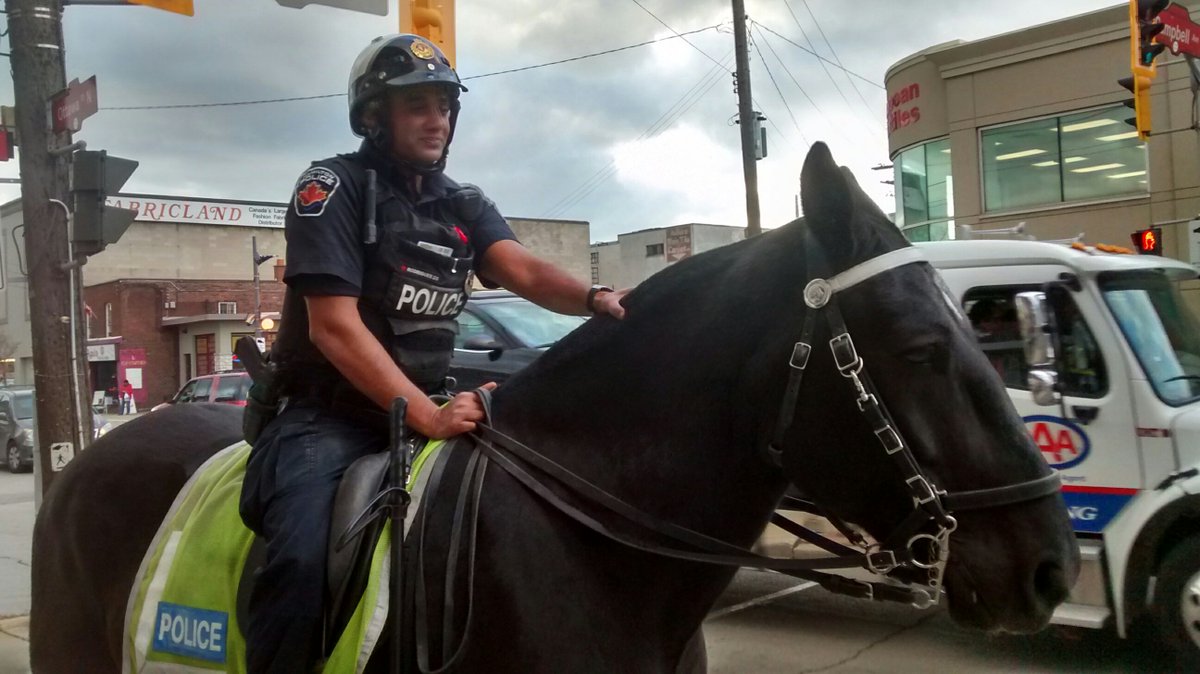 OnceAgain249's tweet image. Anything can happen here on @OttawaSt_BIA  in #HamOnt The horse's name is Barron. He visits here occasionally.