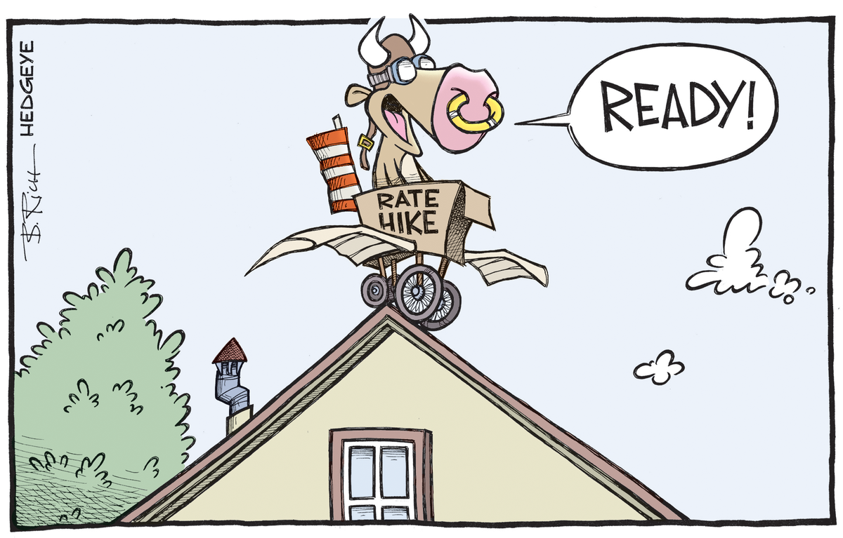Risultati immagini per hedgeye housing cartoons