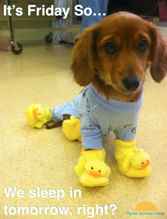 northbridge_eng's tweet photo. Are you sleeping in tomorrow? 
#FTC #FTCStudents #Friday https://t.co/JVIEeFShVJ