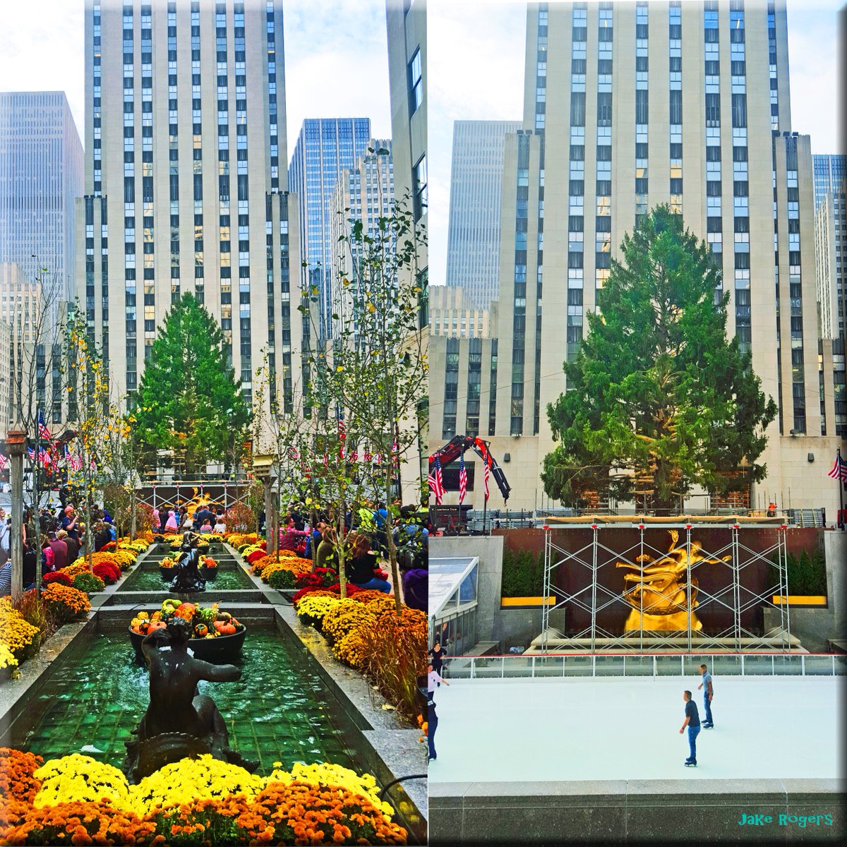 A warm 73 degree November &amp; the Rock <a href="/Christmas30Rock/">Rockefeller Tree</a> is here! 
Nice reminder to get your chocolate orders in early