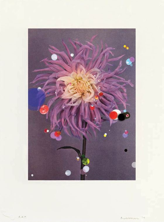 phillipsedition's tweet photo. Cool #SebastiaanBremer Cactus Dahlia Illlusion at @LESPrintshop booth B44 @EABFair #collectprints #inkjet https://t.co/9u1TOgOAxq