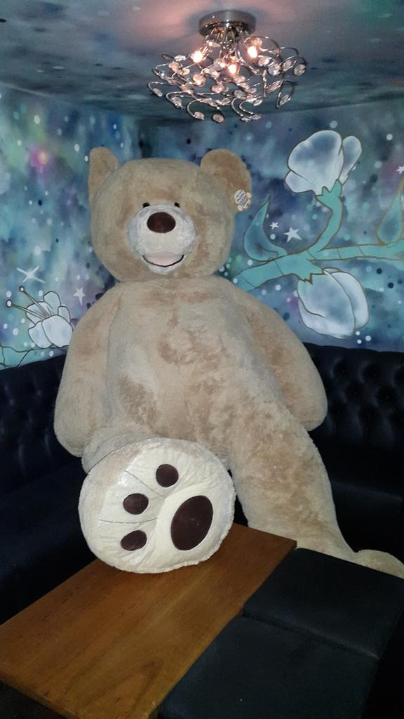 MediaCakeLTD's tweet photo. This bear was giving me the eye.... https://t.co/mLsWdK7uP7