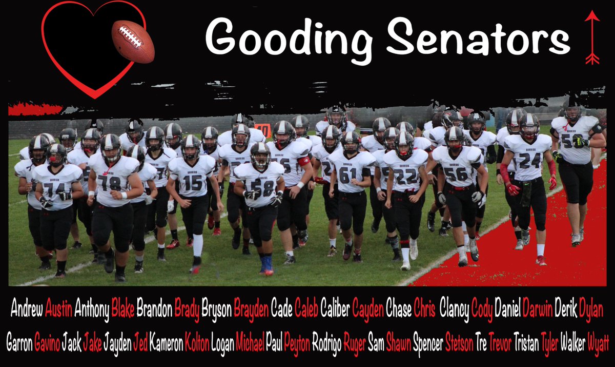 Senators tweet media
