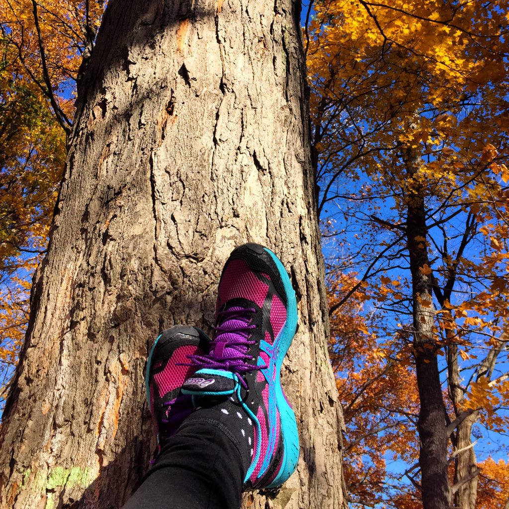LifewithTheRox's tweet photo. Taking advantage of the warmer weather.  Putting things in perspective.  #nature #autumn #metime #healthy https://t.co/VZcYgbxFHl