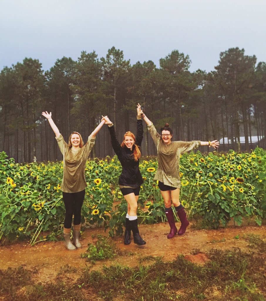 KarleyFrys's tweet photo. It's hard to smell the sunflowers when it's pouring rain. 🌧🌻 https://t.co/d58kxA7gzL