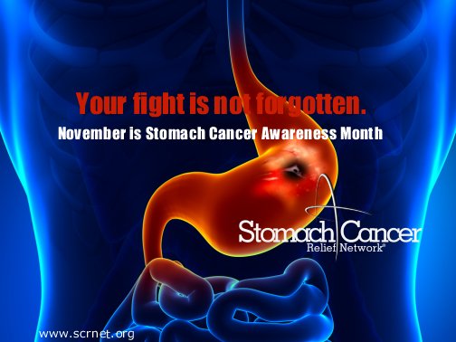 SCRNET_ORG's tweet image. Your fight is not forgotten. November is #StomachCancer Awareness Month. We are thinkn' of all of you, past/present.