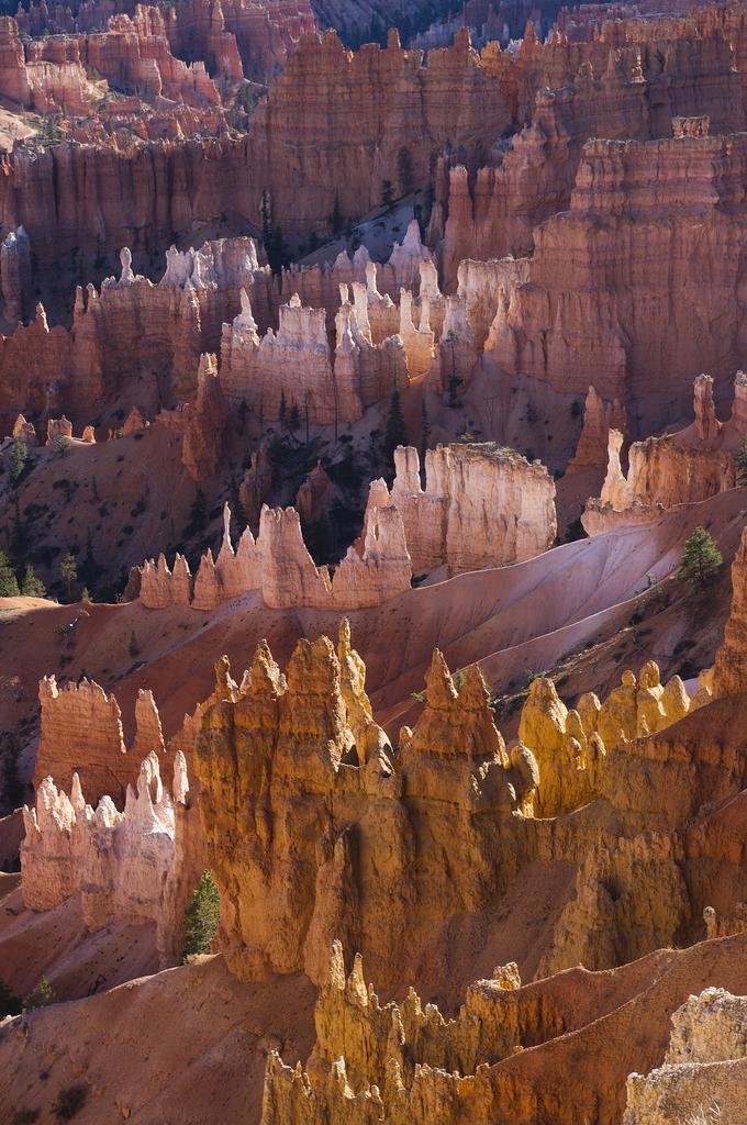 Bryce canyon by <a href="/ThomasShahan/">.</a> #AmericanNature Thomas Shahan's macro photography is the best I have seen.