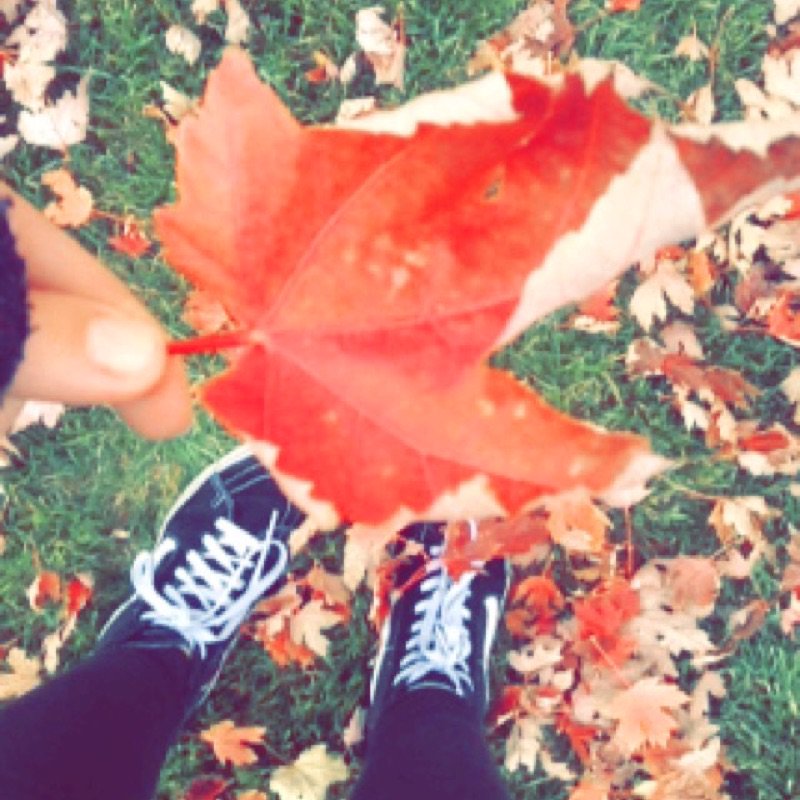 brooketaggart's tweet photo. #ThanksGivingTM https://t.co/qsqbdNRLrt